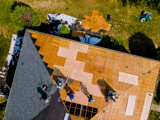 Best Metal Roofing Contractor  in Toledo, OH