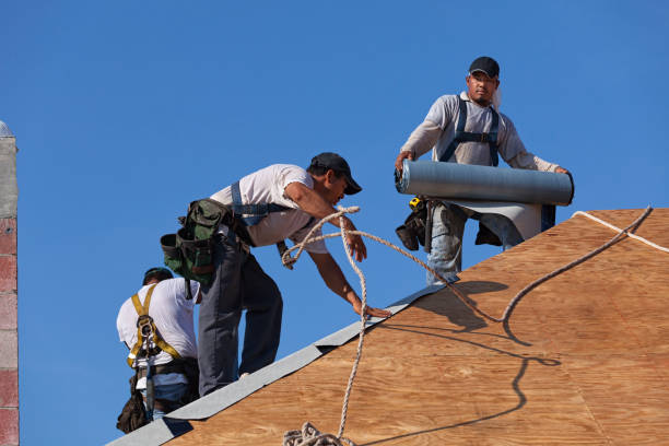 Best Local Roofing Companies  in Toledo, OH